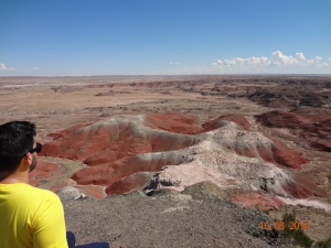 Petrified Forest National Park 080